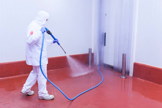 Best Sidewalk and Walkway Cleaning  in Trenton, FL