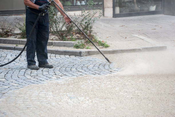 Best Patio and Deck Pressure Washing  in Trenton, FL